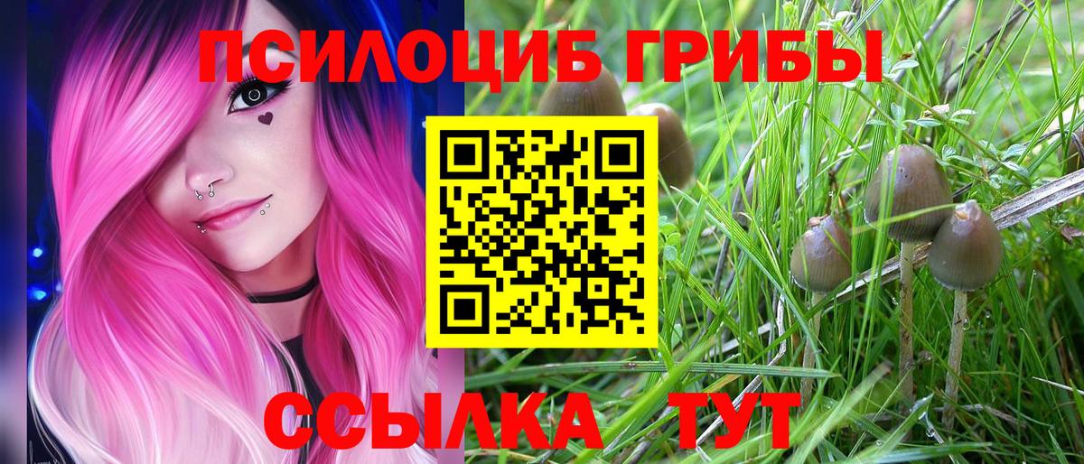 Псилоцибиновые грибы мухоморы  Вход с VPN  Псилоцибиновые грибы прущие грибы  купить наркотик  Иркутск 