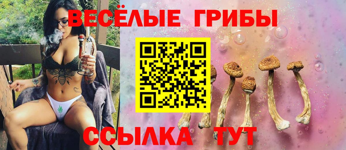 Галлюциногенные грибы Psilocybe Иркутск