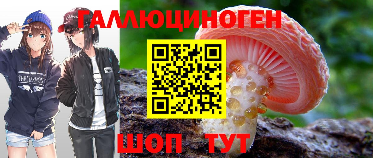 Меф кристаллы  Бошки Шишки  КОКАИН  ГАШИШ  APVP СОЛЬ кристаллы  Иркутск  Героин  Марихуана  Вход с VPN  ГАШИШ 